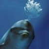 marinelandcotesazur