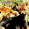 louval30
