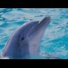 marinelandcotesazur